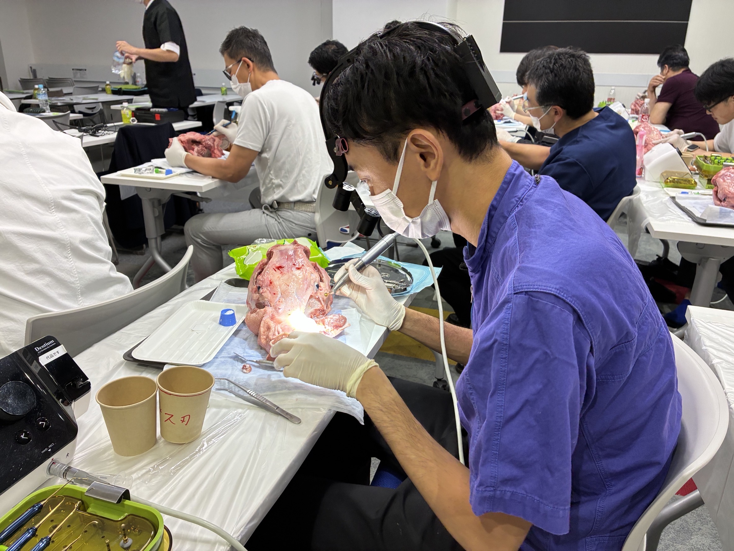 Dentium Dask サイナスリフト　豚顎実習風景